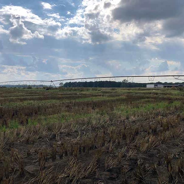 Used Center Pivots For Sale Zimmatic, Valley, TL, Reinke, Pierce