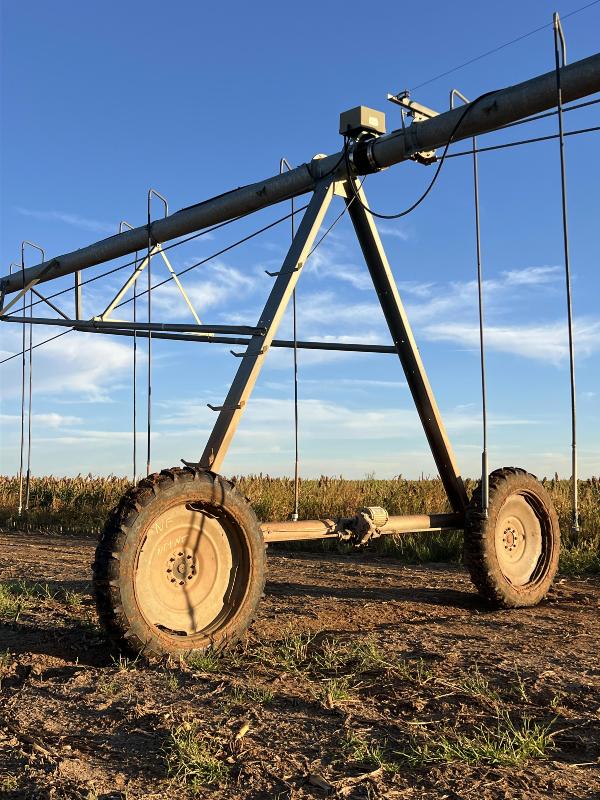Reinke 203
