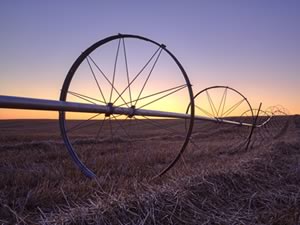 Used Irrigation Wheel lines