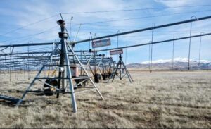 Zimmatic Pivot 305 & 306